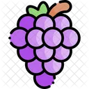 Grape Fruit Healthy Food Icon