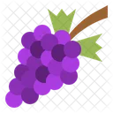 Grape Berry Purple Icon