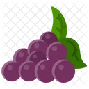 Grape  アイコン