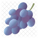 Grape Berry Fruit Icon