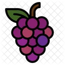 Fruit Grape Seed Icon