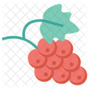 Grape Grapes Fruit Icon