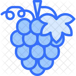 Grape  Icon