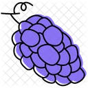 Grape Fruit Sweet Icon
