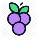 Co Grape Grape Fruit Icon