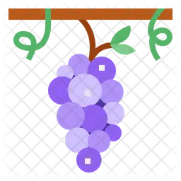 Grape  Icon