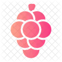 Grape Berry Viburnum Fruit Icon