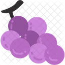Grape Fruit Food Icon