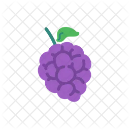 Grape  Icon