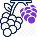 Grape Fruit Fresh Icon