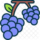 Grape Fruit Fresh Icon