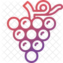Grape Wine Fruit Icon