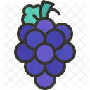 Grape Grapes Fruits Icon