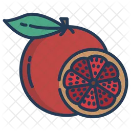 Grape fruit  Icon