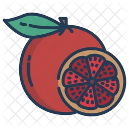 Grape Fruit  Icon