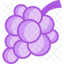 Grape Fruit Food Icon