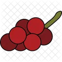 Grape Icon Icon