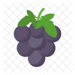 Grape  Icon