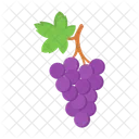 Grape Fruit Food Icon