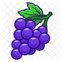 Fruit Fruits Food Icon