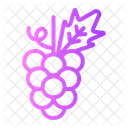 Grape Grapes Fruit Icon