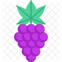 Ilustro Flat Iconscout Fruits Flat Icon