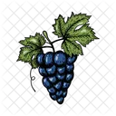 Grape Vino Vine Icon