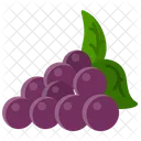 Grape  Icon