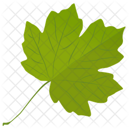 Grape Leaf Icon