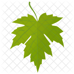 Grape Leaf Icon