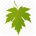 Grape Leaf Leaf Green Leaf Icon