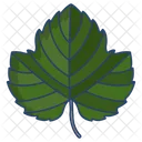 Grape Leaf  Icon