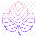 Grape Leaf  Icon