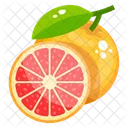 Grapefruit Fruit Food Icon
