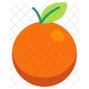 Grapefruit Fruit Healthy Icon