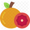 Grapefruit Fruit Organic Icon