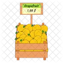 Grapefruit Fruit Fruit Basket Icon