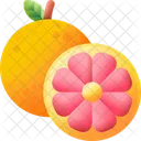 Grapefruit Fruit Healthy Icon