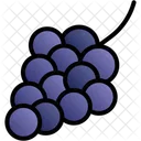 Grapes Fruits Food Icon