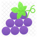 Grapes Healthy Fruit Icon