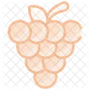 Grapes Icon