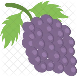 Grapes  Icon