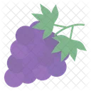 Grapes Fruity Berry Icon