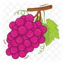 Grapes Fruit Fresh Icon