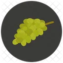Grapes Fruit Icon