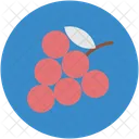 Bunch Grapes Fruit Icon