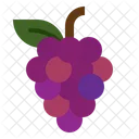 Fruit Grape Grape Fruit Icon