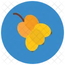 Grapes Bunch Gather Icon