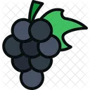 Fruit Grapes Wine Icon