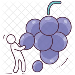 Grapes  Icon